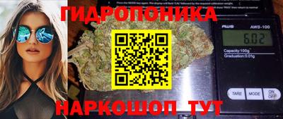 гашик Заволжье