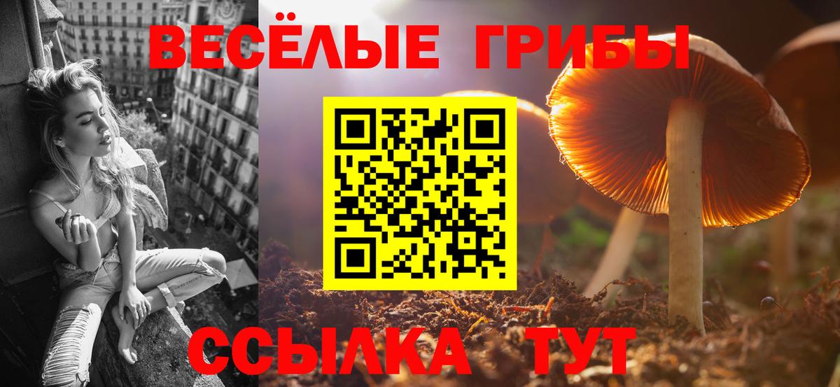 Псилоцибиновые грибы мицелий  Вход с VPN  Псилоцибиновые грибы ЛСД  Махачкала 