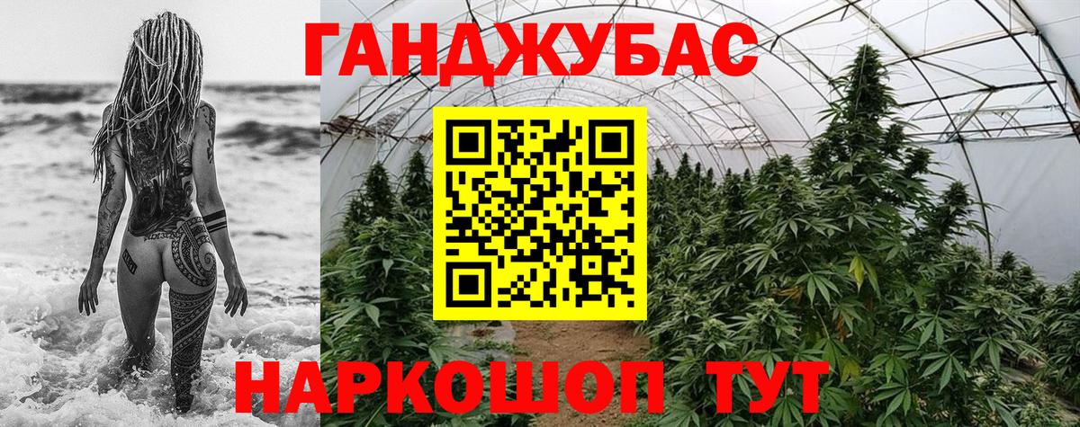 Каннабис сатива  Конопля семена  Вход с VPN  Махачкала 